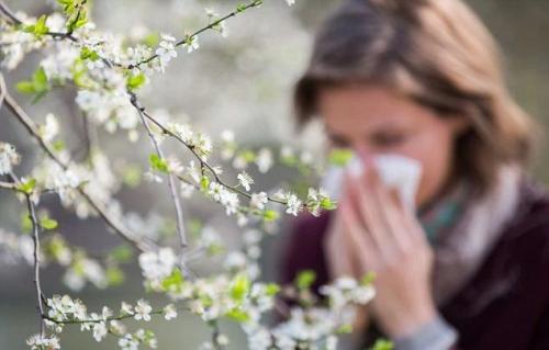 【注意】鼻炎患者的“难熬期”到了！再不使用家用空气净化器后悔一年！