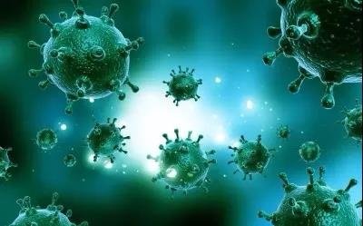 新型冠状病毒肺炎聚集性疫情流行病学调查技术指南